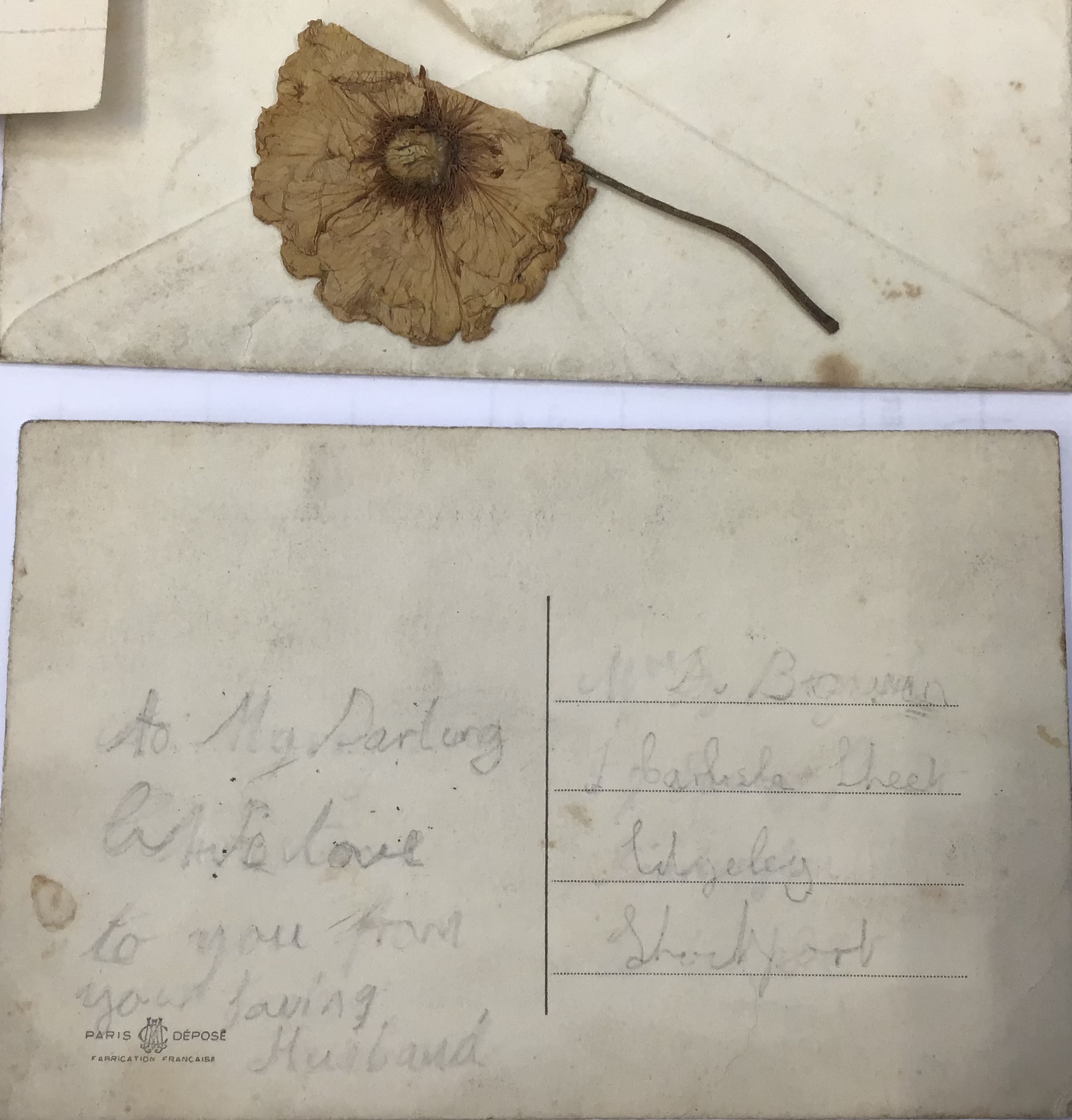 A unique, heartbreaking, and genuine WW1 Poppy from the picked from the Battlefield, with a postcard - Image 4 of 9