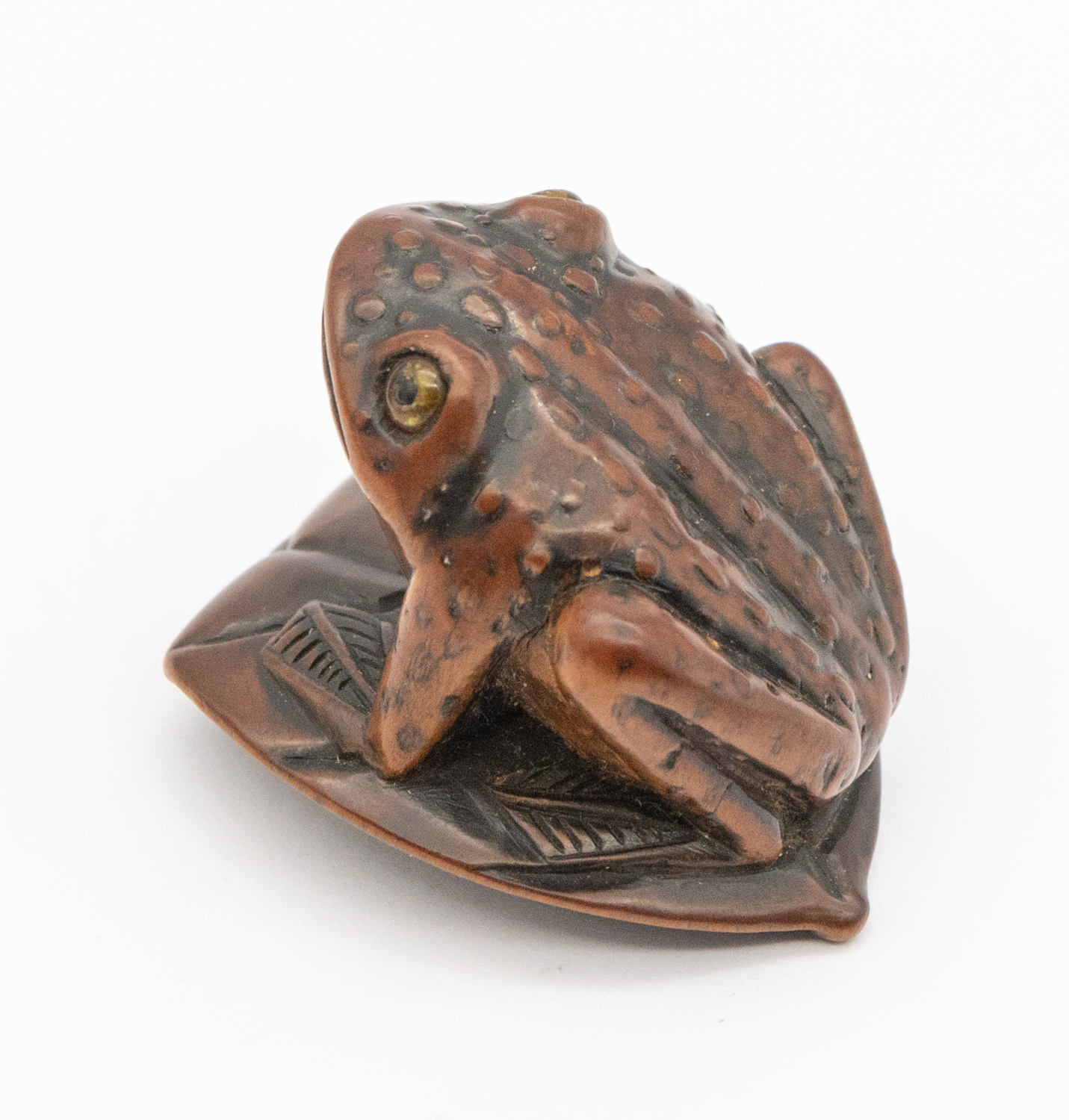 A 19th century Japanese wooden frog netsuke, perching on a leaf with orange eyes, signed underneath, - Bild 3 aus 5