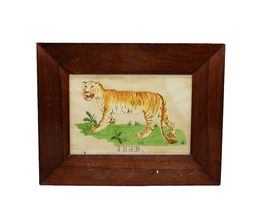 A 19th Century Folk Art watercolour and ink drawing of a Tiger, titled to lower section, 16 x