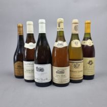 6 Bottles Mixed White to include: Saint Veran Bourgogne – de Deux Roches – 1996, Des Deux Roches