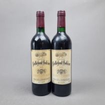 2 Bottles Chateau Bellefont Belcier 1995 – Saint Emilion (Please note stained labels)