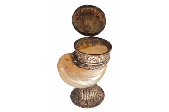 An Anglo Indian white metal /Silver mounted Turbo Marmoratus sea shell snuff pot. Likely late 19th - Image 2 of 7