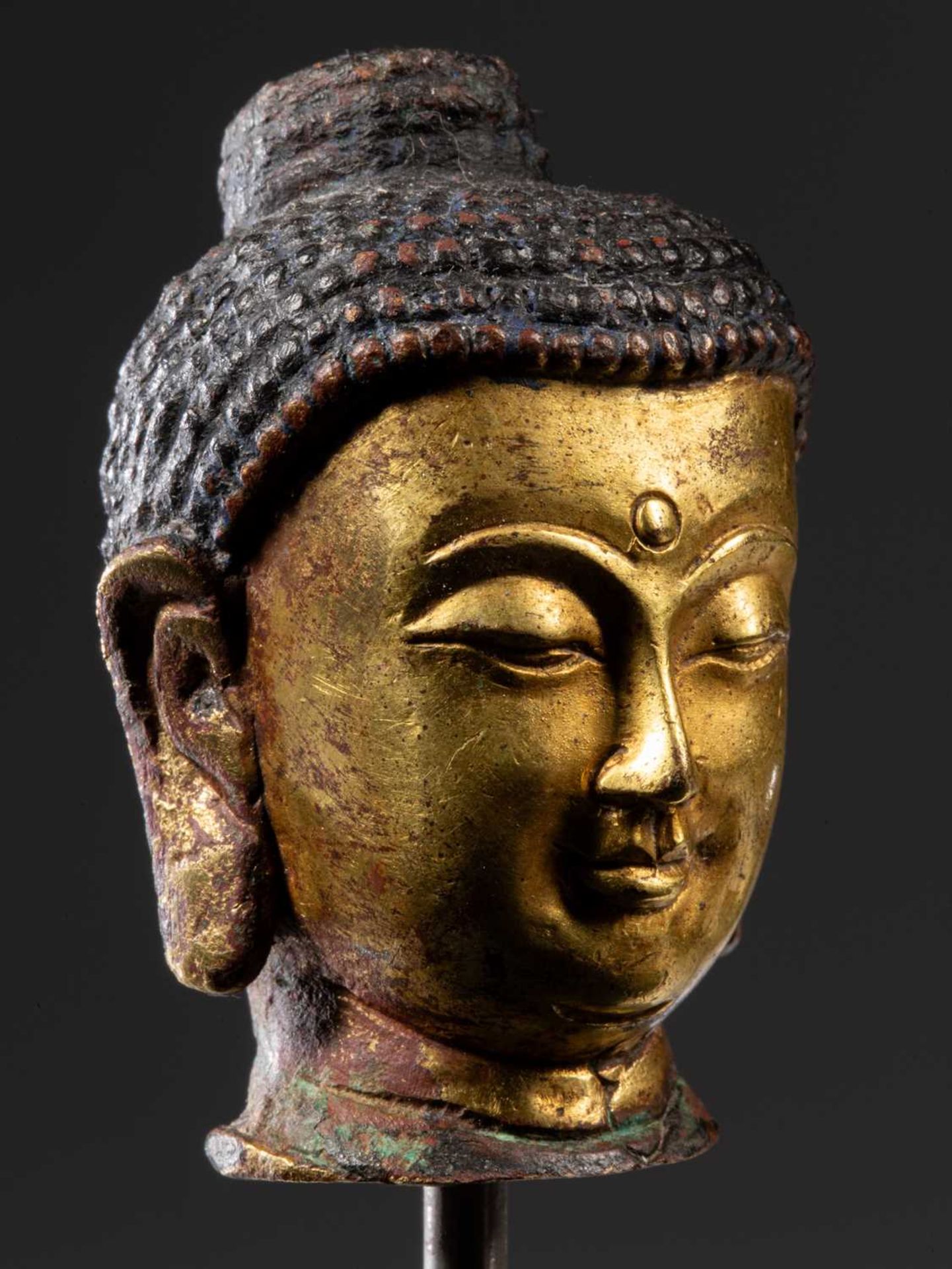 HEAD OF A BUDDHA