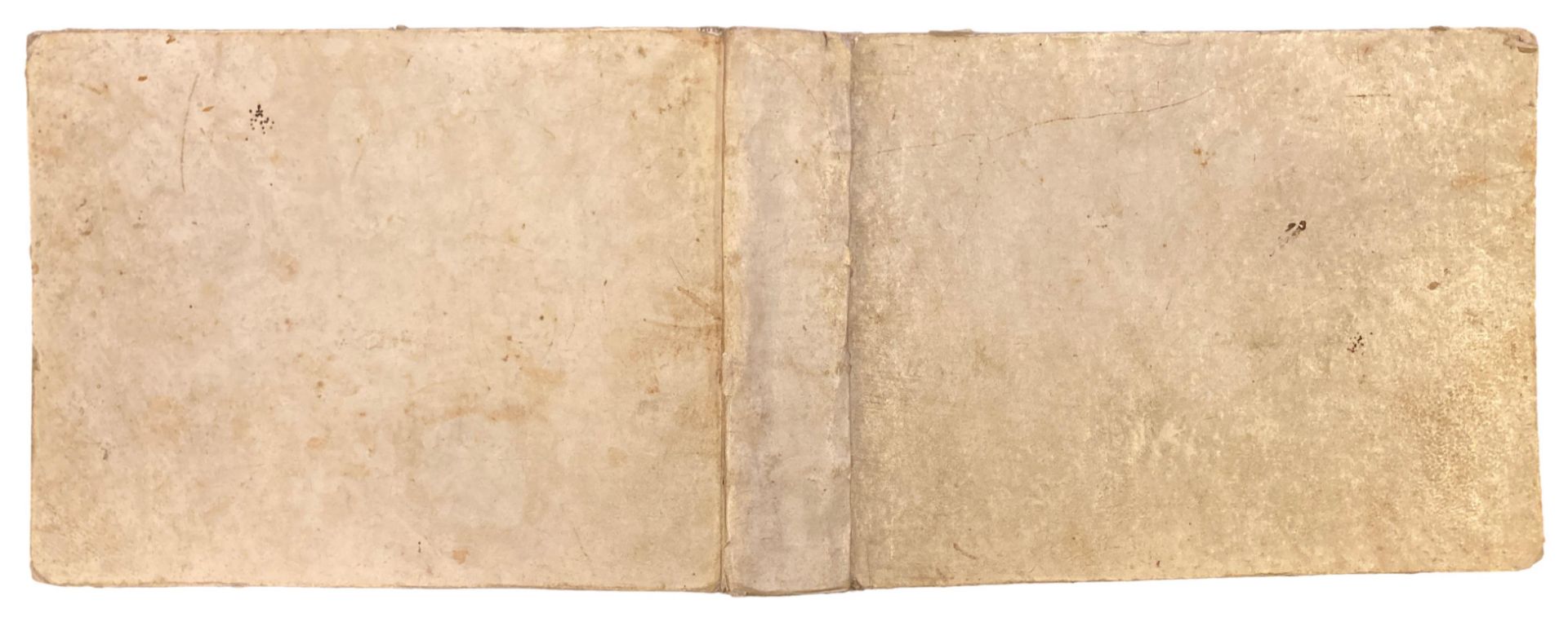 Vogelbuch. | Ca. 1615. - Bild 5 aus 5