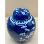 1800s Blue & White Asian  JamJar with lid excellent condition.