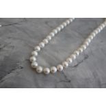 14K WHITE GOLD CLASP - STRING PEARL NECKLACE