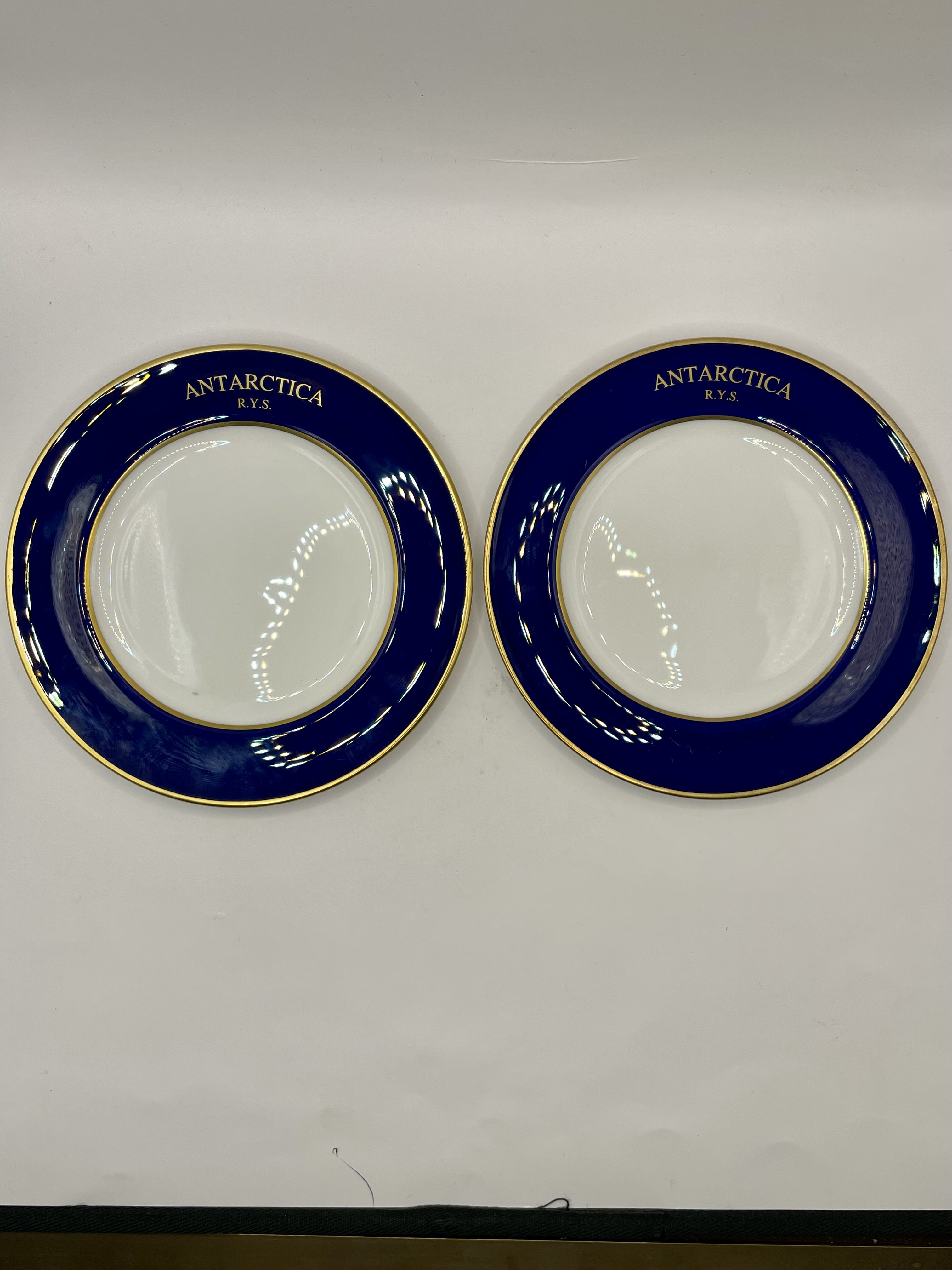Thomas Goode Minton Antarctica R.Y.S mission side plates Extremely rare. 