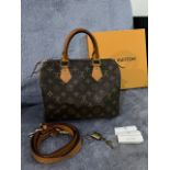 LOUIS VUITTON - SPEEDY 25 BAG / PURSE