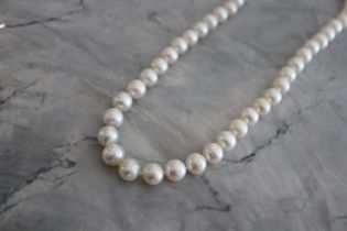 14K WHITE GOLD CLASP - STRING PEARL NECKLACE