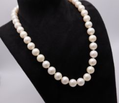 PEARL & WHITE GOLD (9CT) NECKLACE