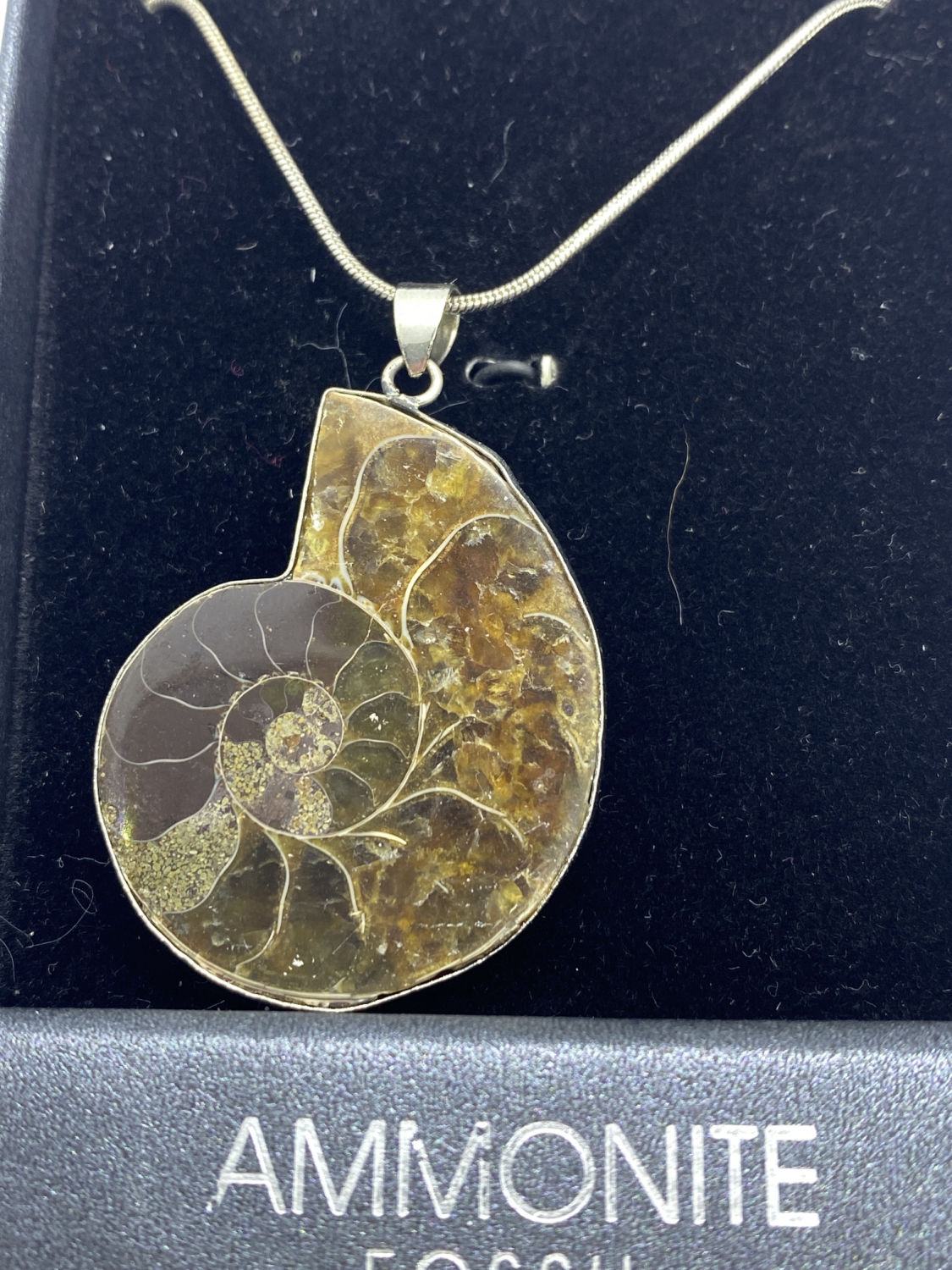 MADAGASCAR AMMONITE FOSSIL PENDANT AND CHAIN - Image 2 of 3