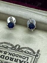 18ct WHITE GOLD BLUE SAPPHIRE AND DIAMOND EARRINGS