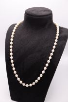 9K YELLOW GOLD & PEARL NECKLACE