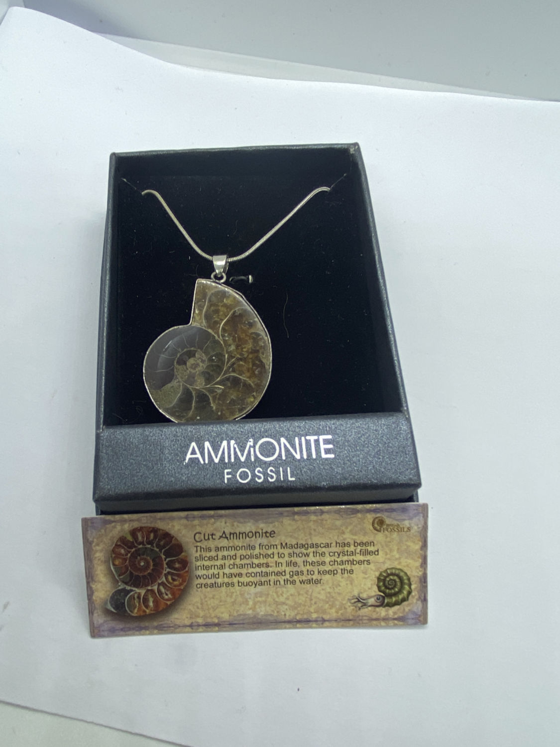 MADAGASCAR AMMONITE FOSSIL PENDANT AND CHAIN