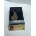 MADAGASCAR AMMONITE FOSSIL PENDANT AND CHAIN