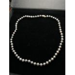 TAHITIAN GREY PEARL NECKLACE WITH 14k GOLD CLASP