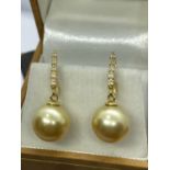 14ct YELLOW GOLD GOLDEN SOUTH SEA PEARL & DIAMOND EARRINGS - INSURANCE VALUATION £3500