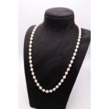 9K YELLOW GOLD & PEARL NECKLACE