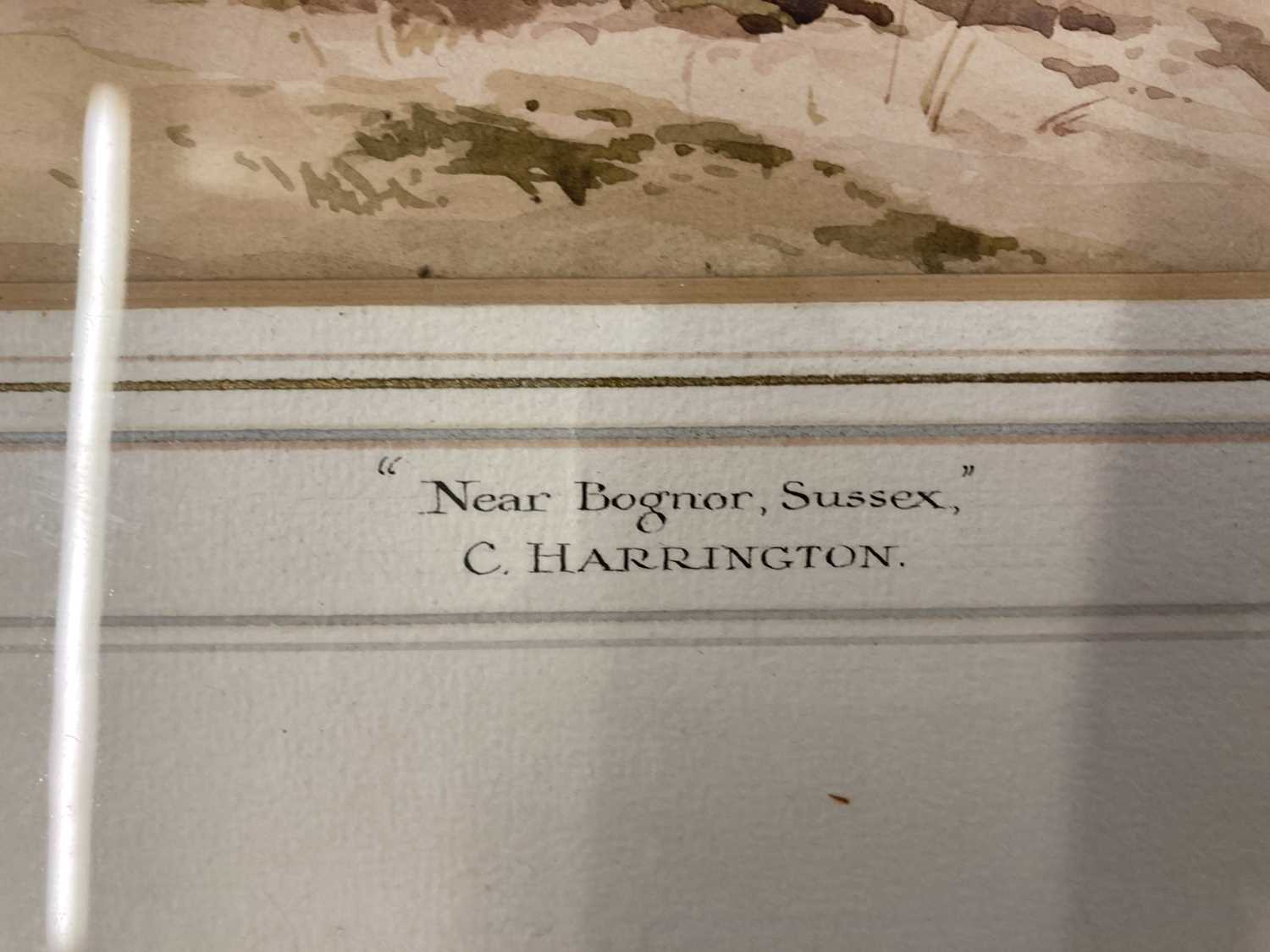 Charles Harrington (1865-1943): - Image 4 of 6