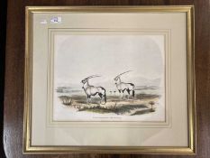 Frank Howard (British 1805-1866):