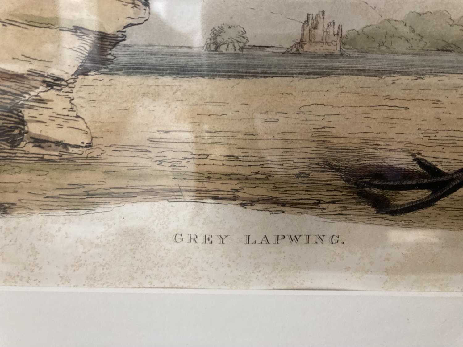 Simon Gudgeon (1958- ): / Etchings: - Image 6 of 6