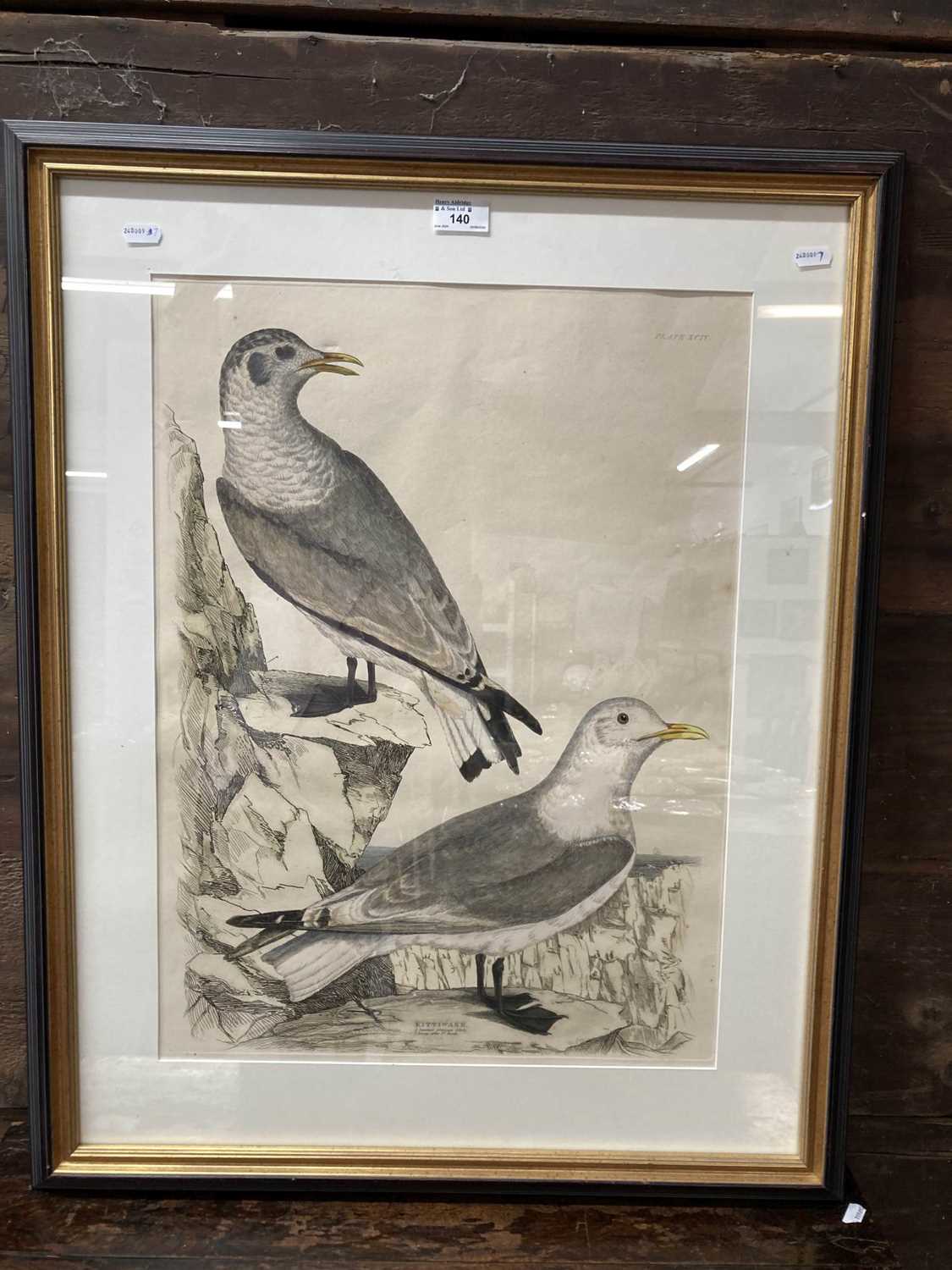 Simon Gudgeon (1958- ): / Etchings: