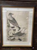 Simon Gudgeon (1958- ): / Etchings: