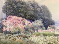 Edith Helena Adie (1865-1947):