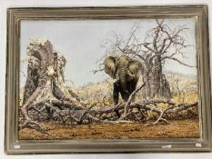 Larry Norton Picture