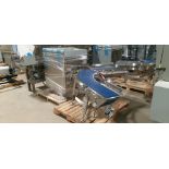 Multivac Conveyor Cover & Conveyor