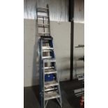 Werner Ladders