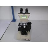 Olympus Binocular Microscope