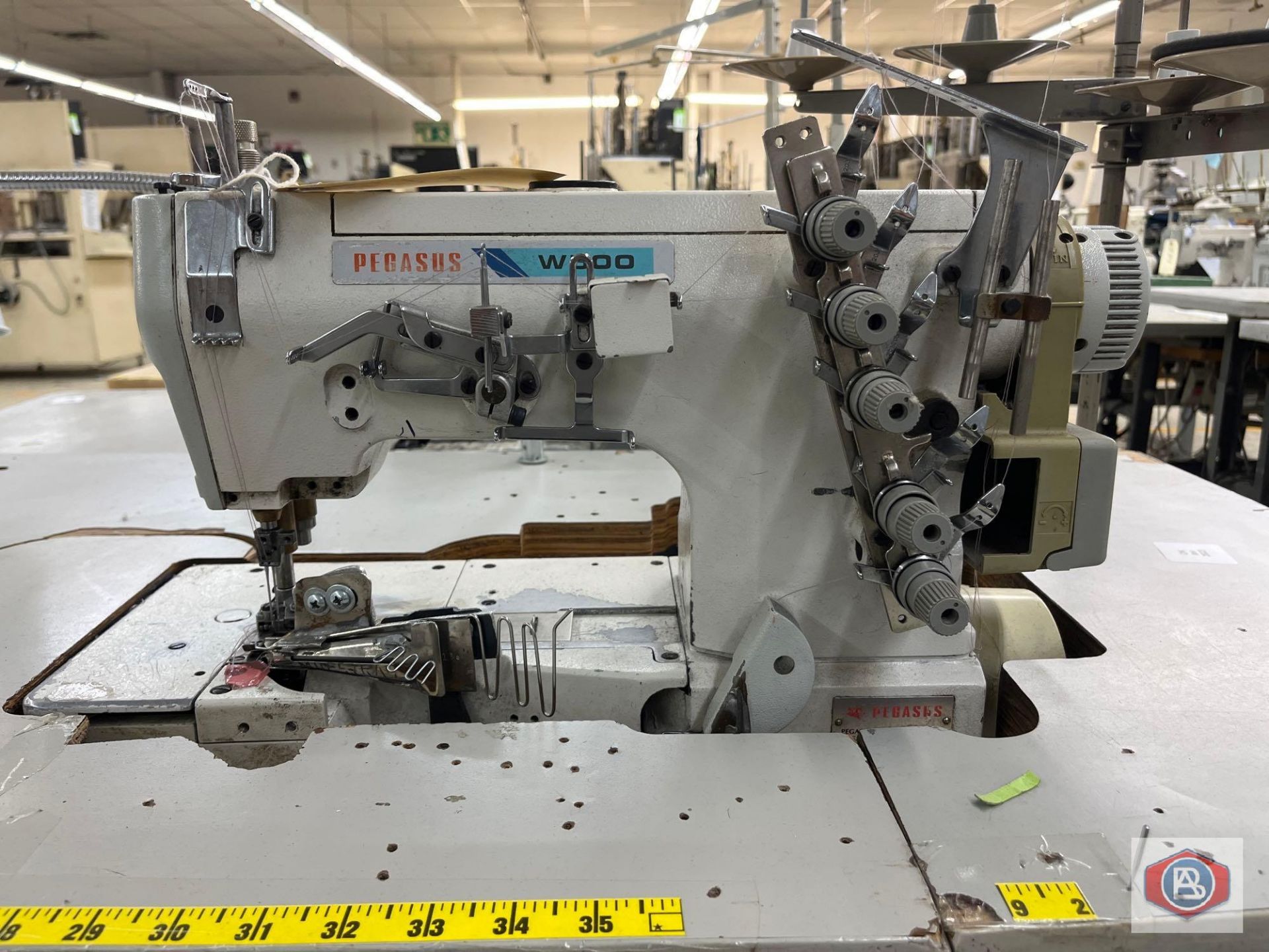 Pegasus Sewing Machine