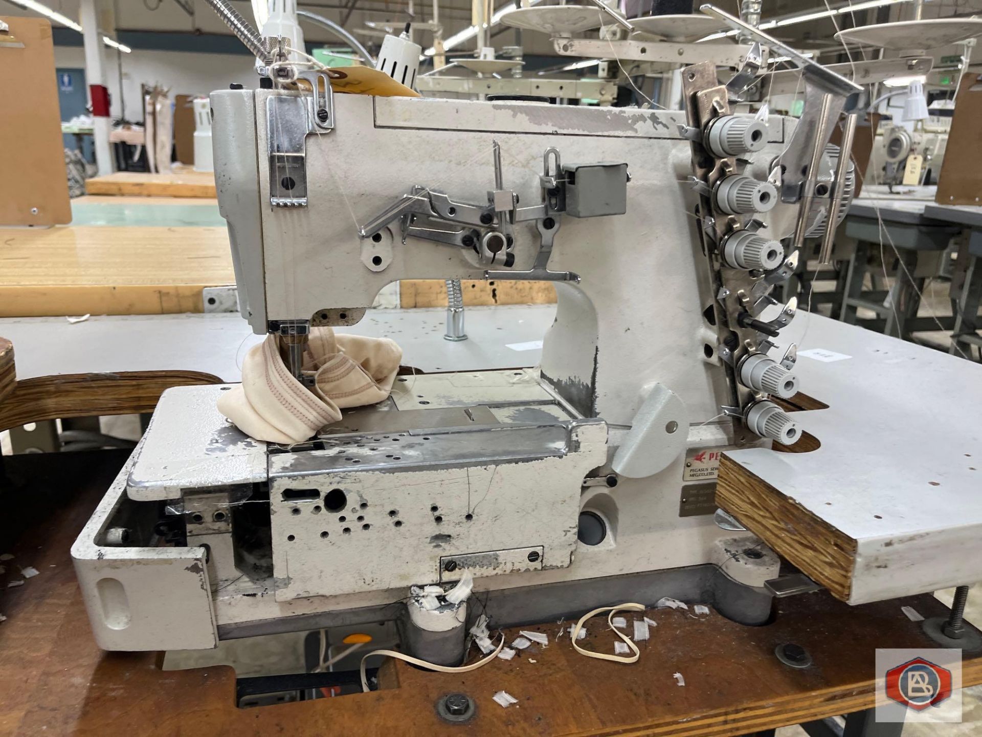 Pegasus Sewing Machine