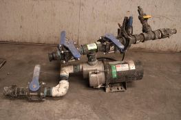 Inline Pumps With Valves