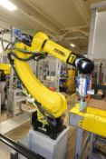 Fanuc Automated Robot System