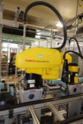 Fanuc Automated Robot System