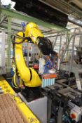 Fanuc Automated Robot System