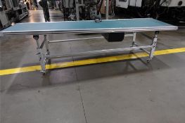 Absolute Machinery L3700W800 Belt Conveyor