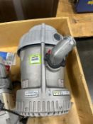 Edwards Dry Scroll Pump