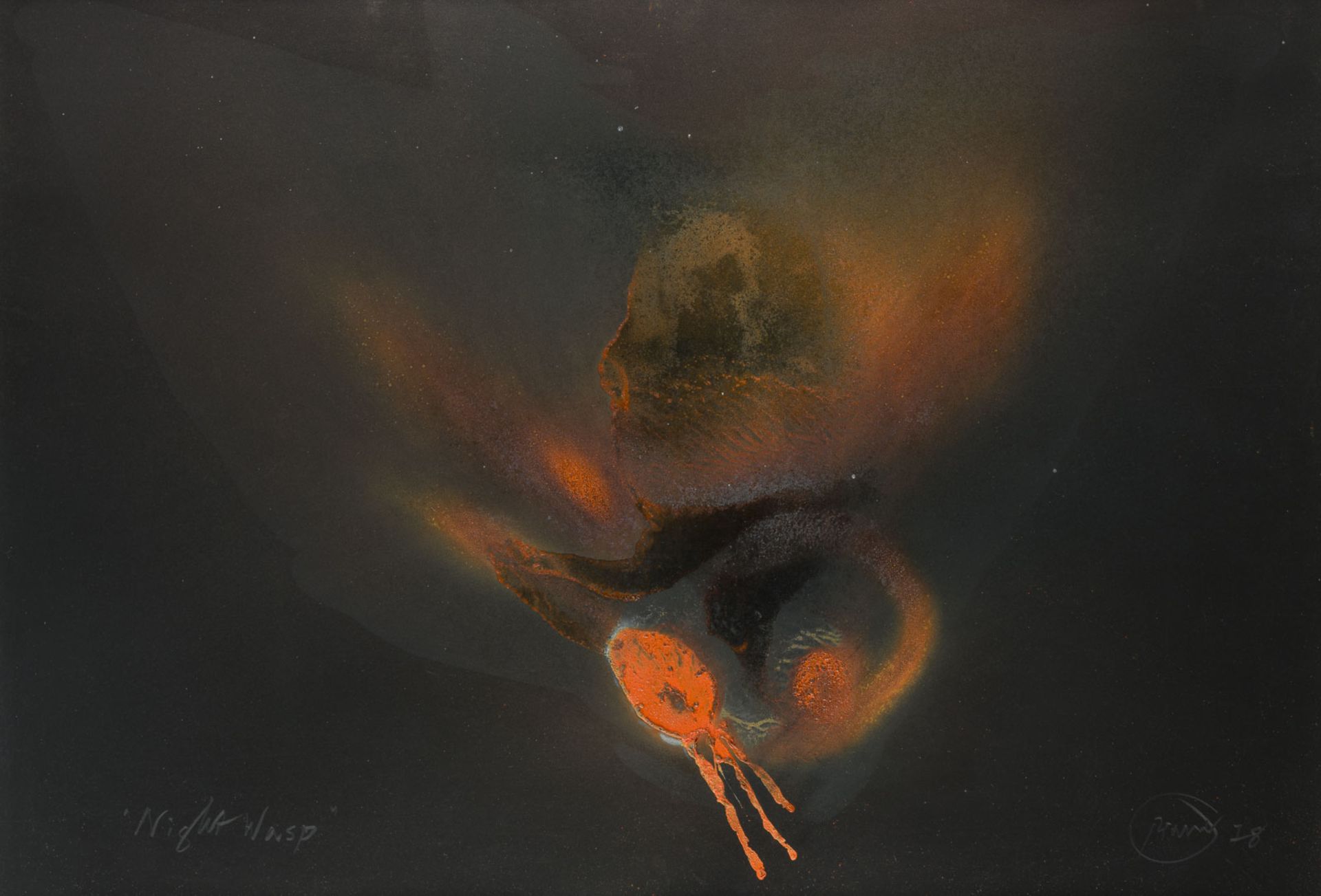 'NIGHT WASP' (1978)