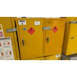 Hazmat Cabinet as lotted