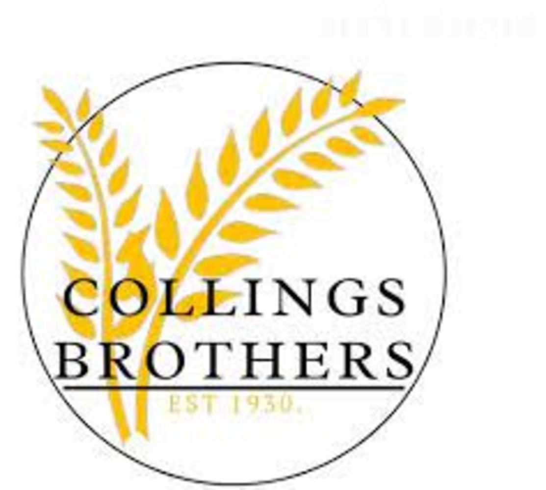 Collings Brothers - Day 1