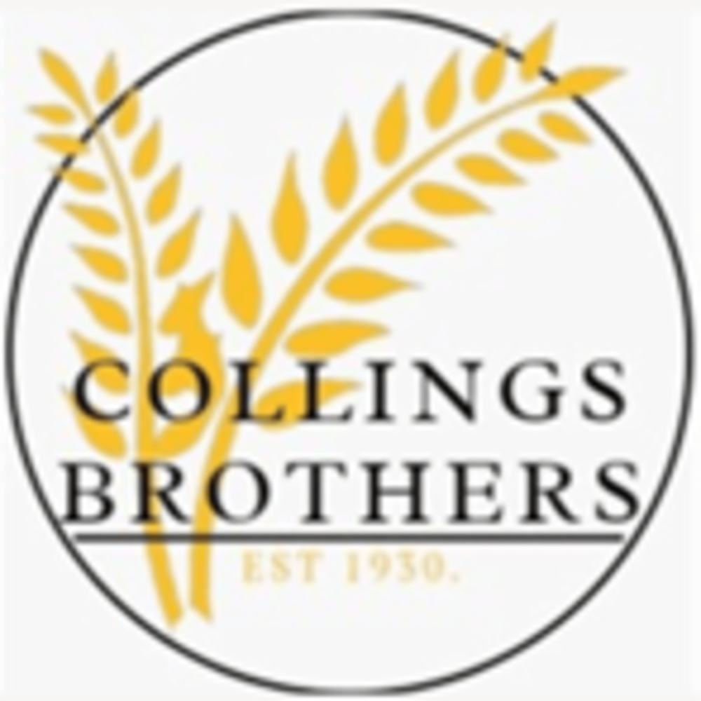 Collings Brothers - Day 2