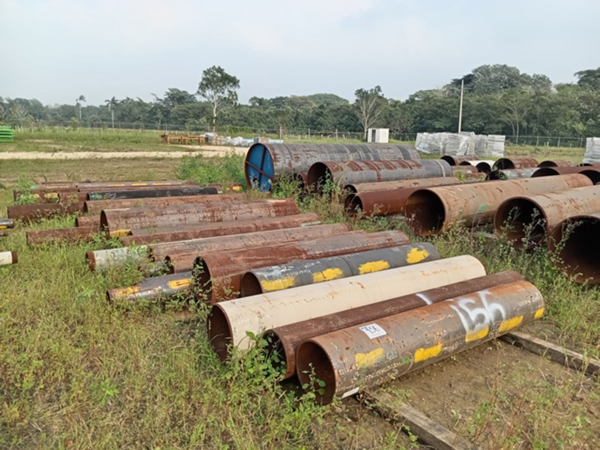 LOT OF APPROXIMATELY (55) METERS OF CARBON STEEL PIPE PIECES - Image 16 of 22