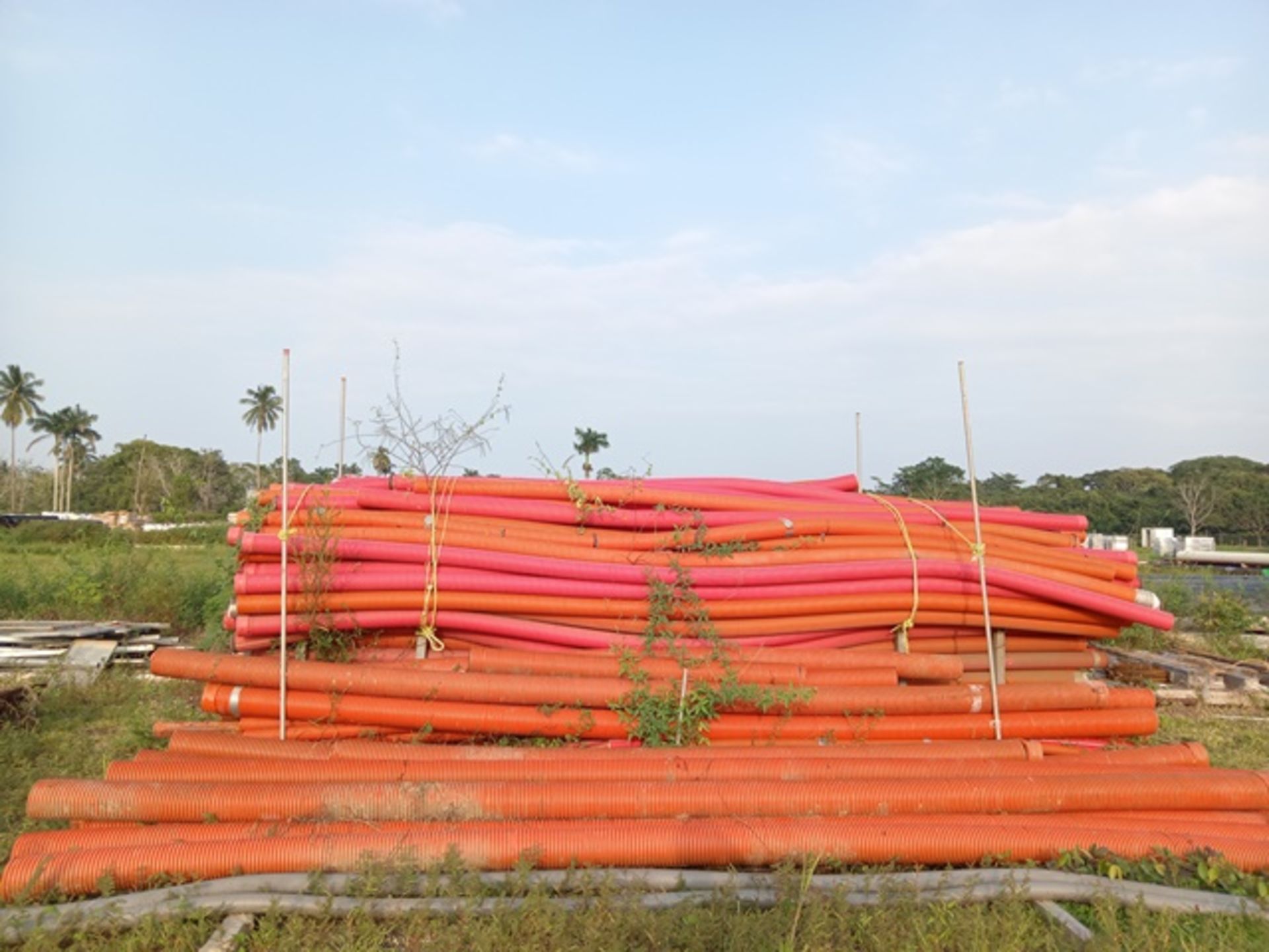 LOT OF (65) METERS CORRUGATED PVC PIPE - Image 2 of 4