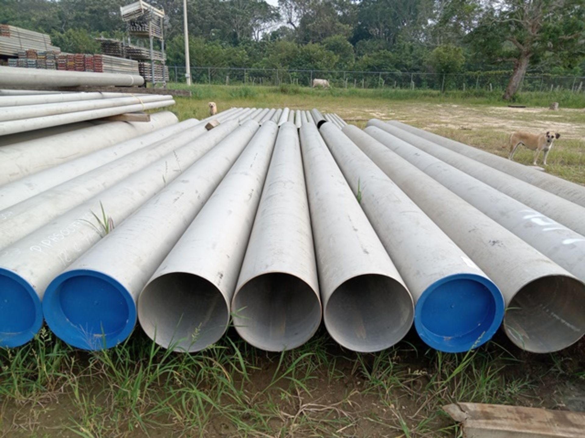 LOT OF APPROXIMATELY 133 METERS OF T-304 AND T-316 STAINLESS STEEL PIPE - Image 3 of 6