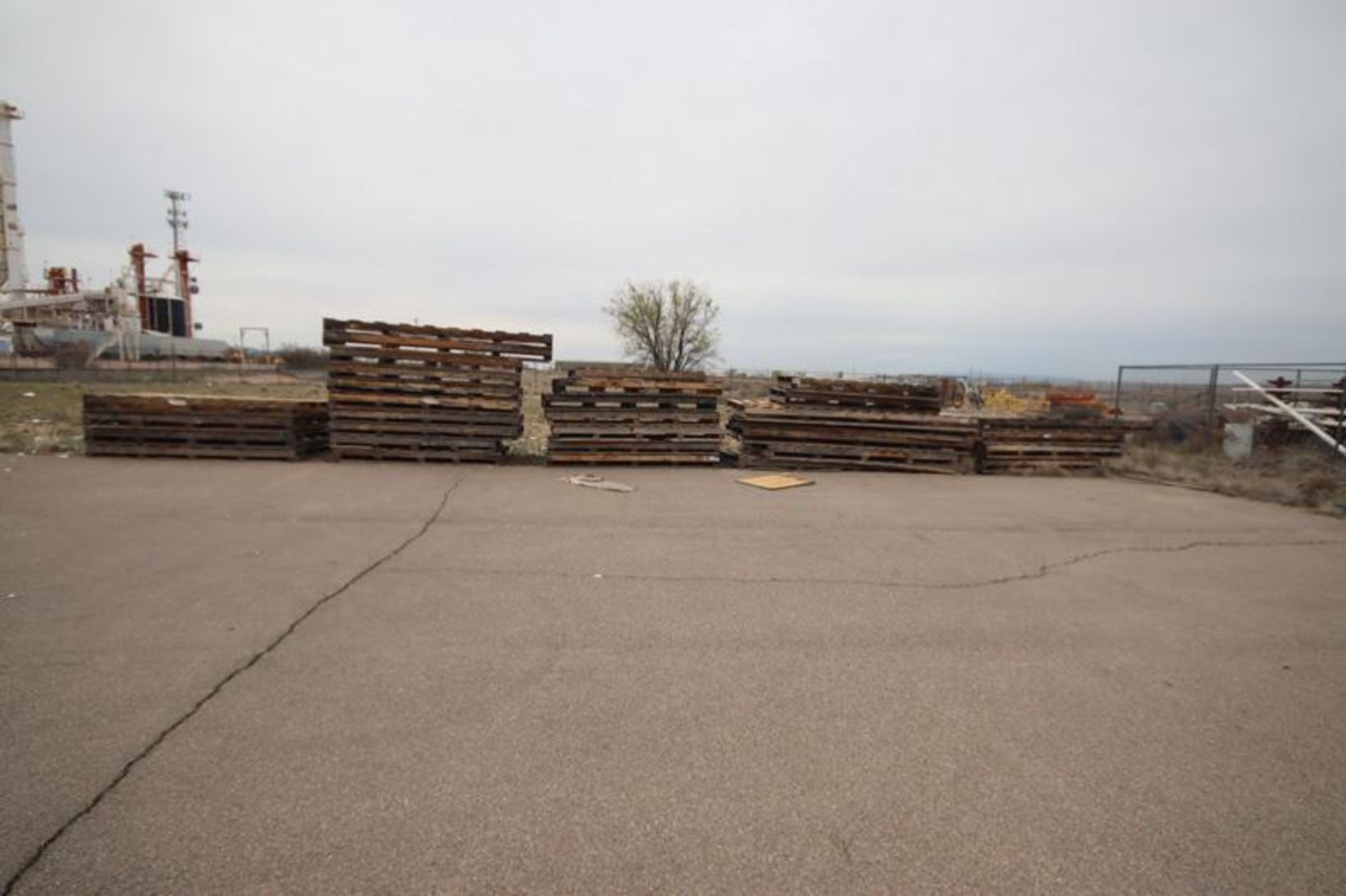 All Empty Wood Skids and Pallets in Yard