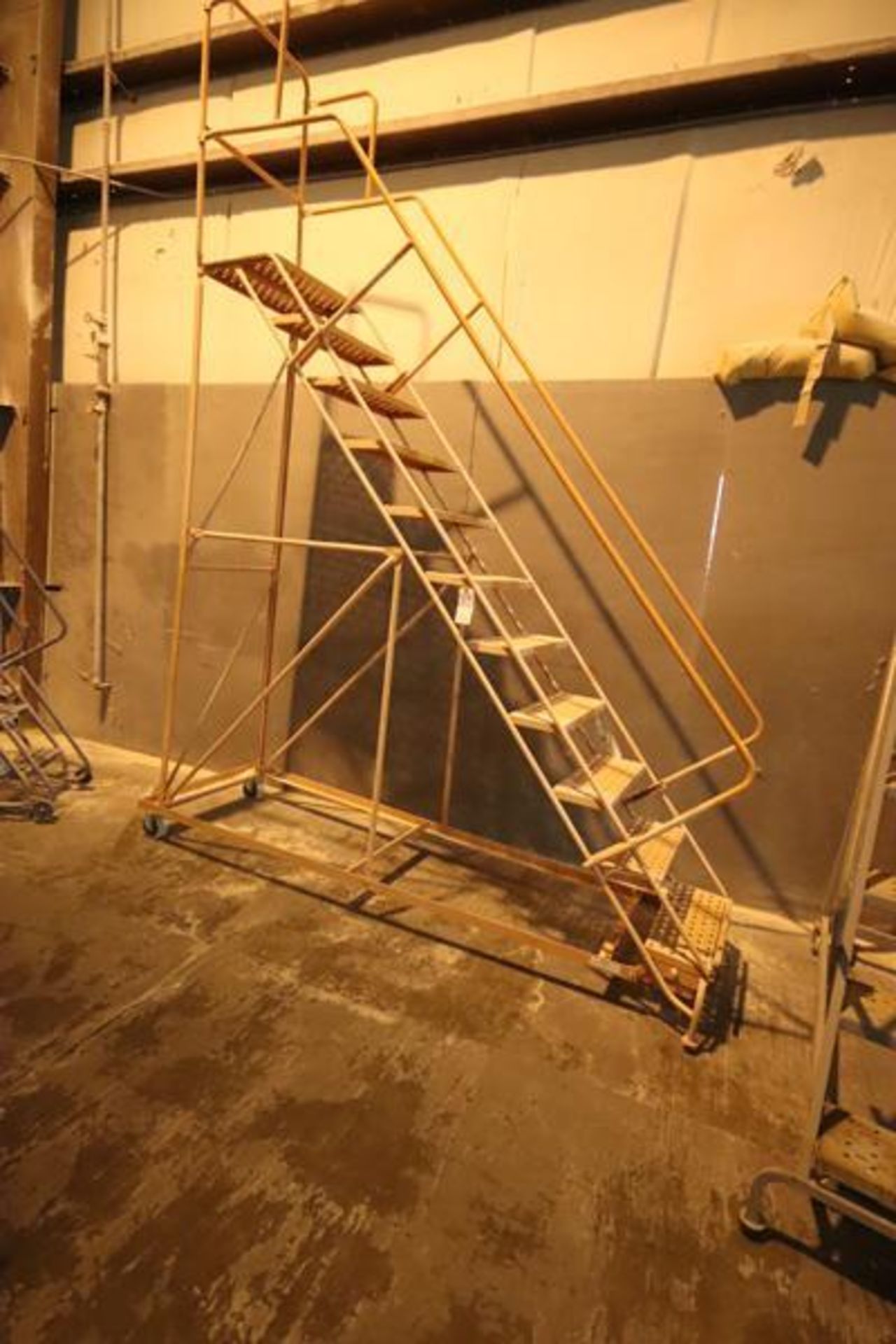 11 Step Rolling Ladder