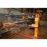 Stackermate vacuum sheet stacker.built 1998, 12 suction cup capacity, with powered roller infeed con